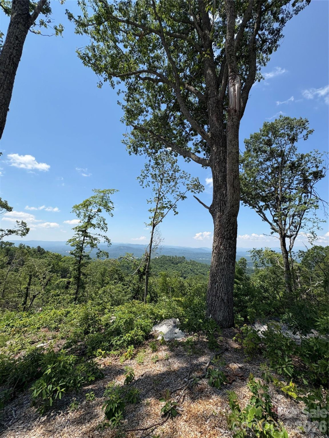 Lot 50 Mountain Grove Lane #50 - Photo 15