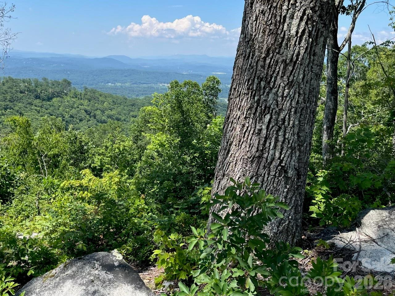 Lot 50 Mountain Grove Lane #50 - Photo 16