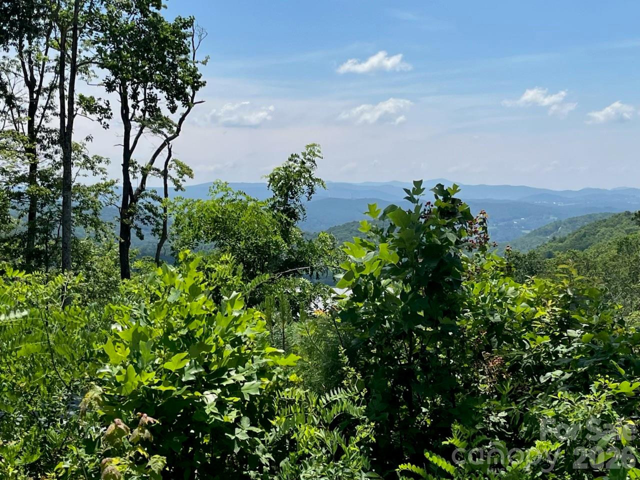 Lot 50 Mountain Grove Lane #50 - Photo 17