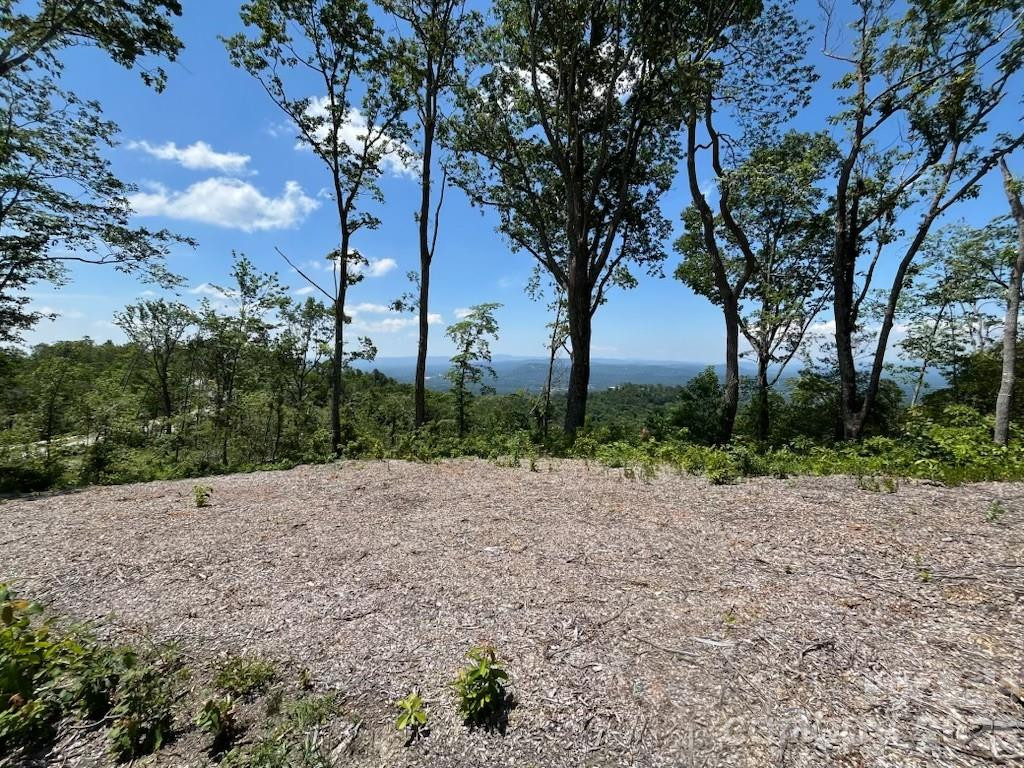 Lot 50 Mountain Grove Lane #50 - Photo 18