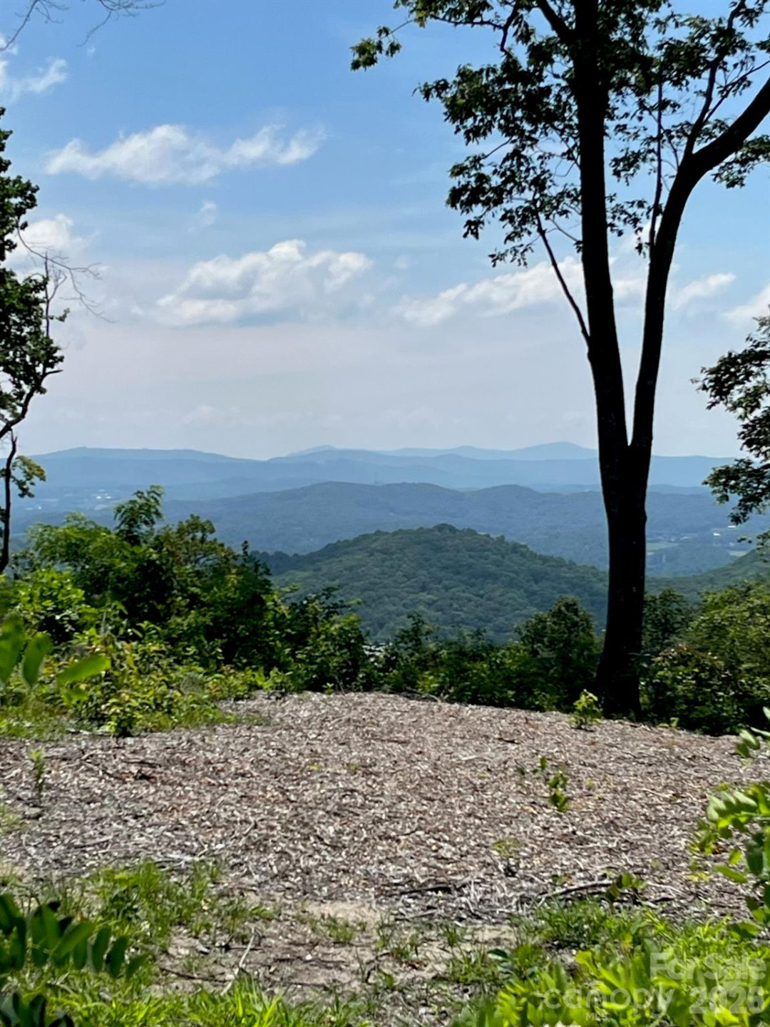 Lot 50 Mountain Grove Lane #50 - Photo 19