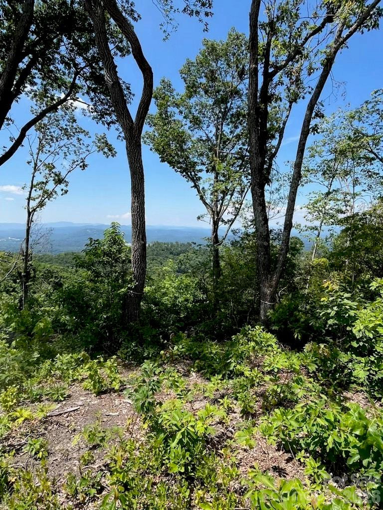 Lot 50 Mountain Grove Lane #50 - Photo 20