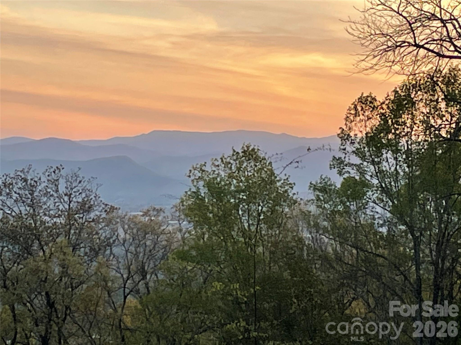 Lot 50 Mountain Grove Lane #50 - Photo 22