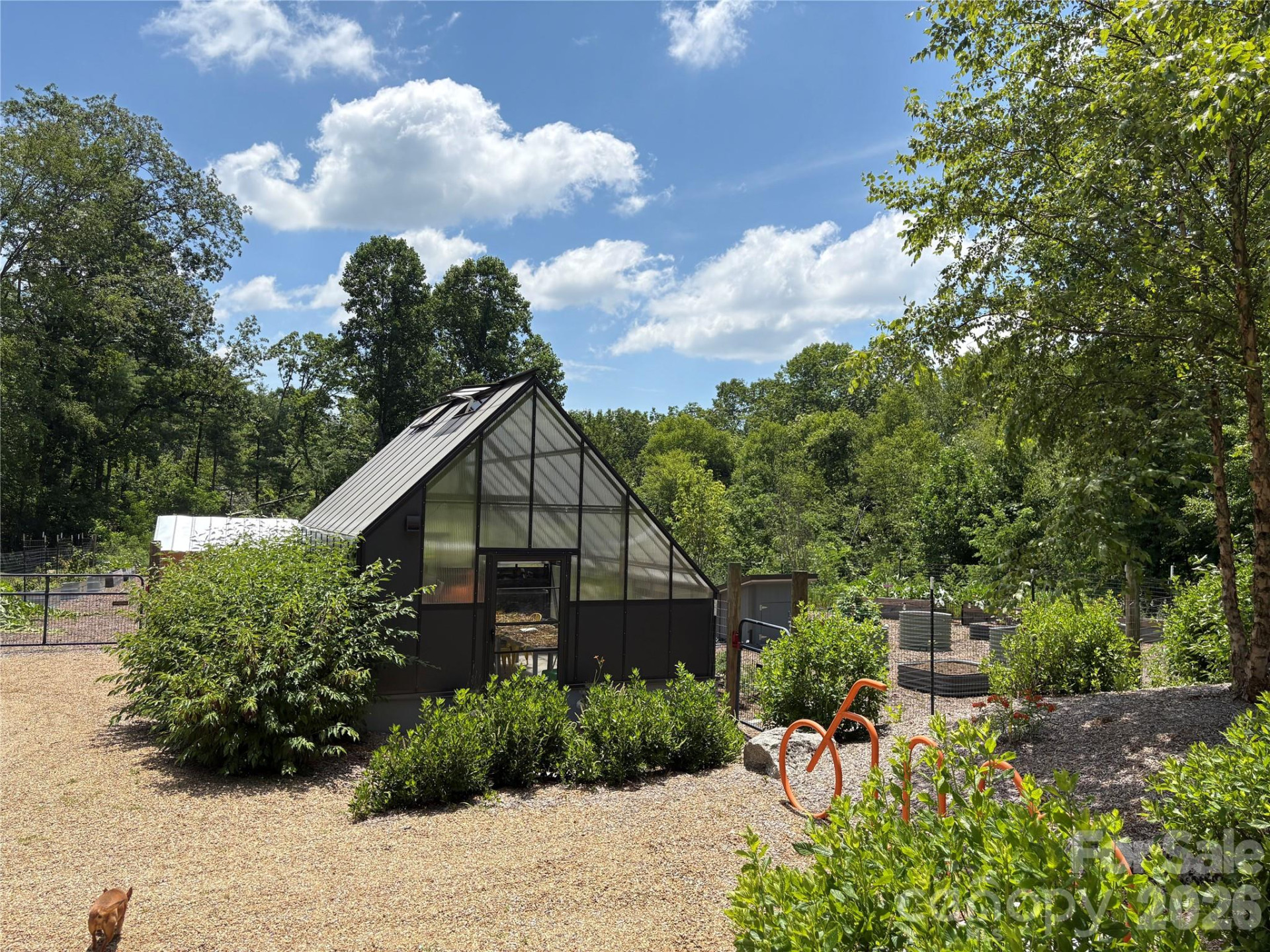 Lot 50 Mountain Grove Lane #50 - Photo 23