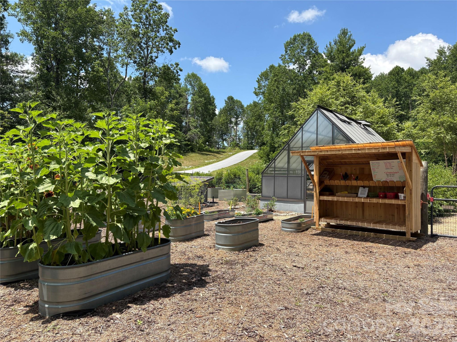 Lot 50 Mountain Grove Lane #50 - Photo 25