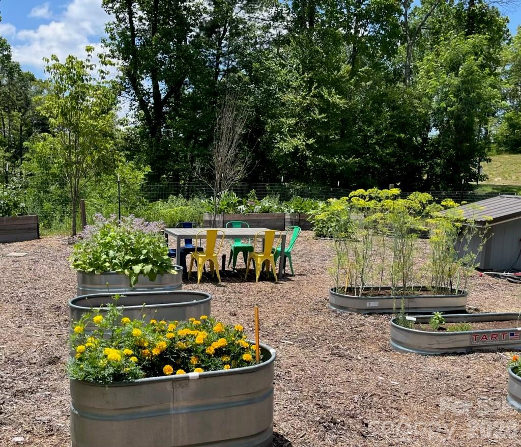 Lot 50 Mountain Grove Lane #50 - Photo 26