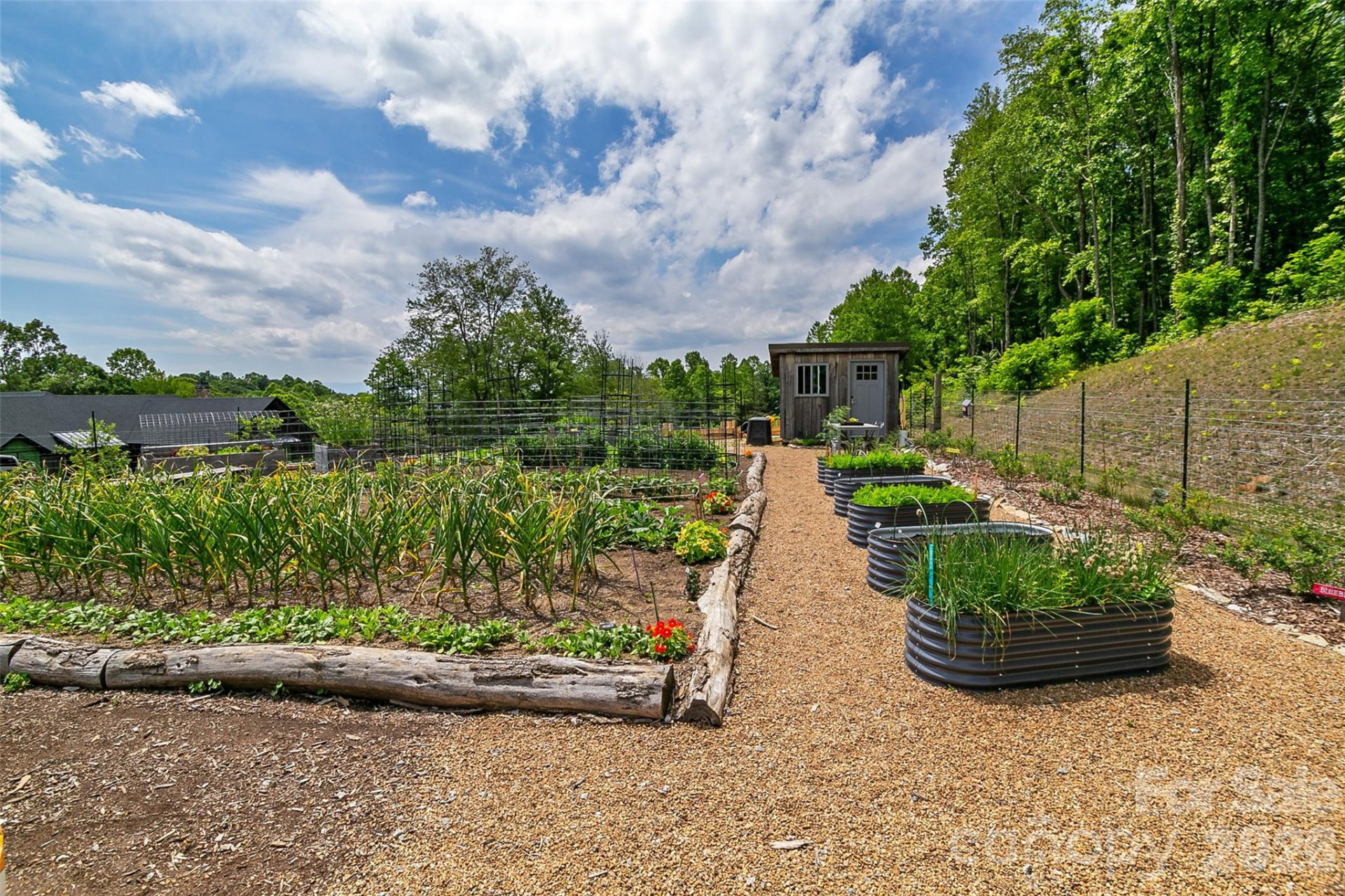 Lot 50 Mountain Grove Lane #50 - Photo 28