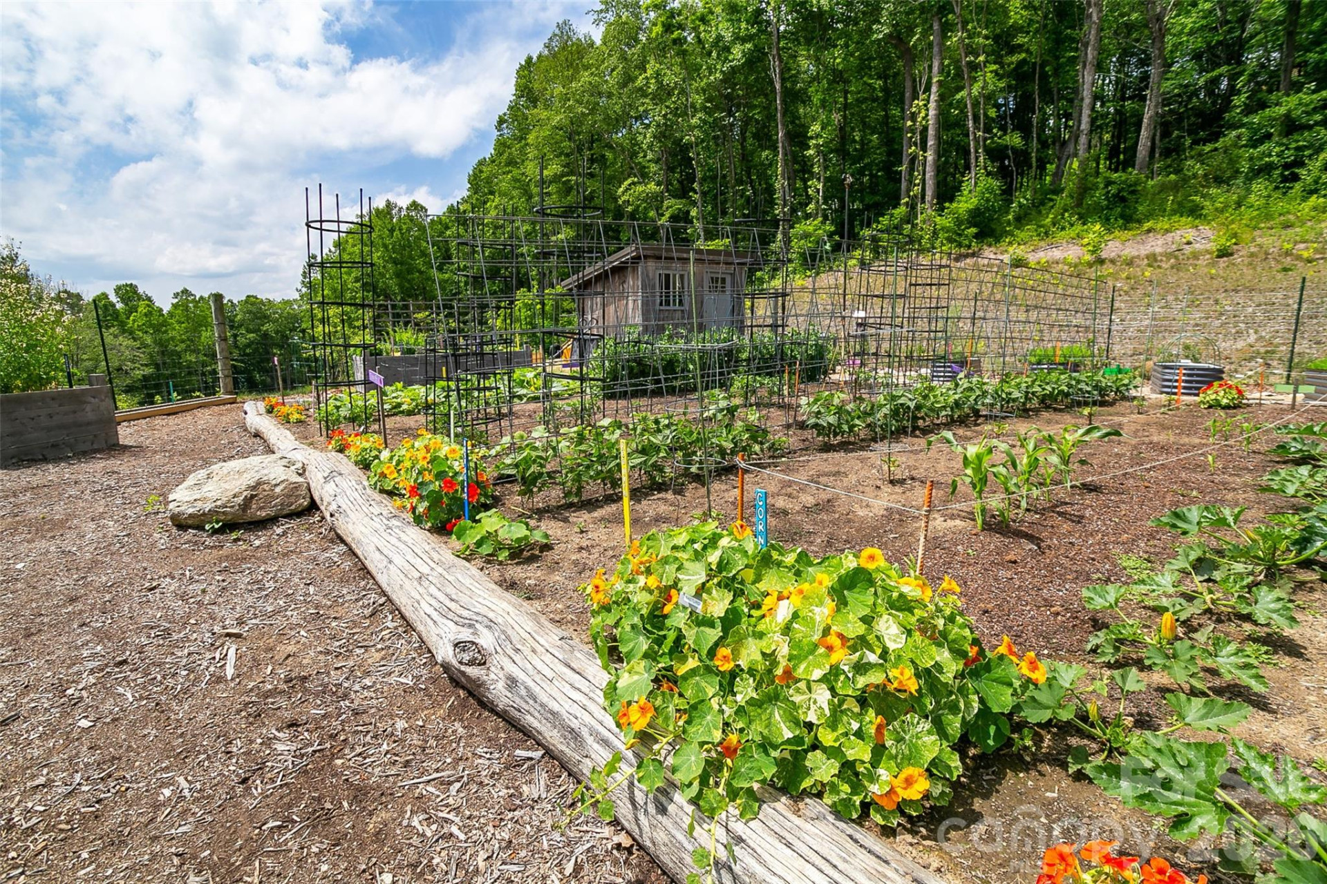 Lot 50 Mountain Grove Lane #50 - Photo 29