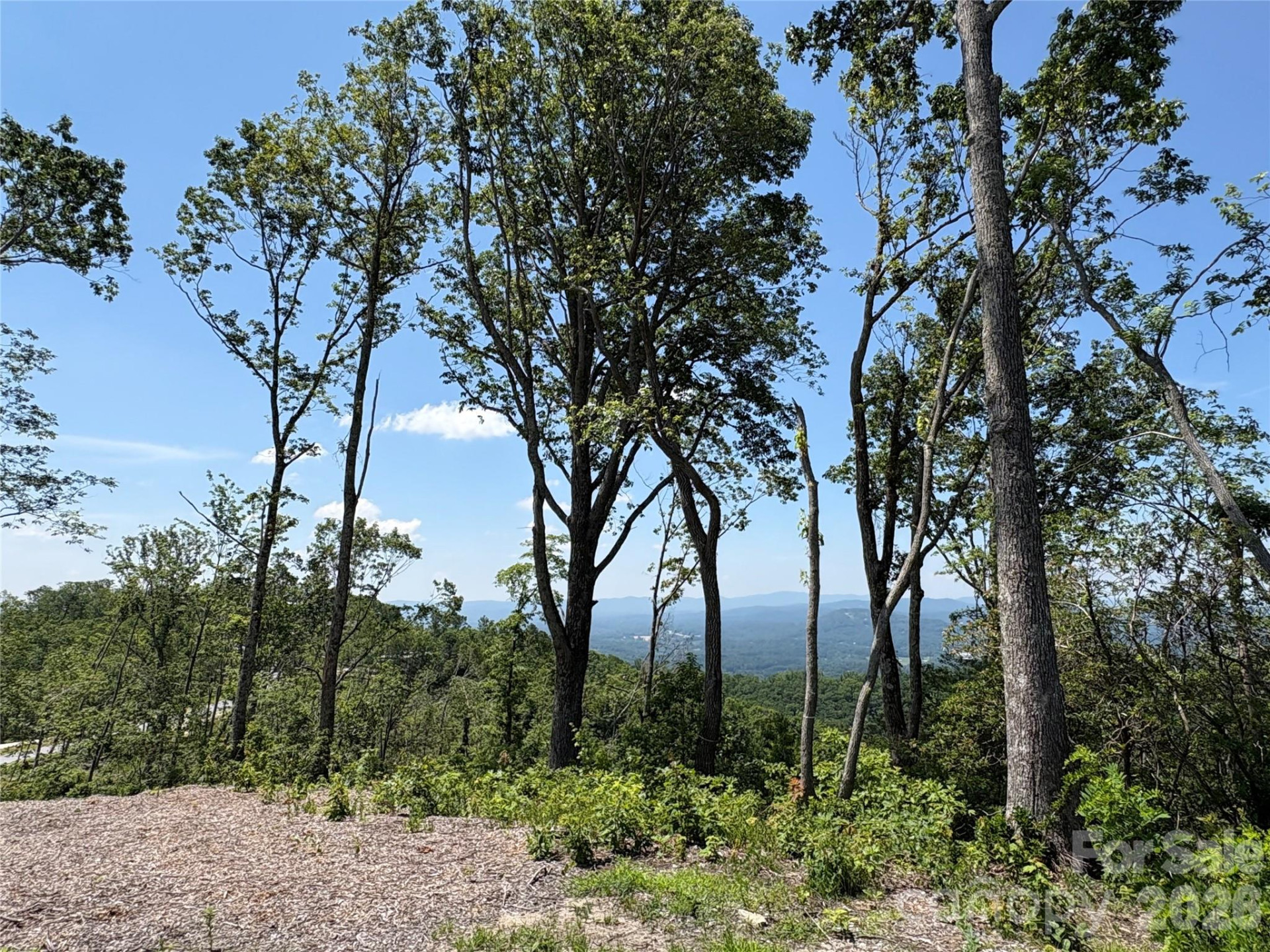 Lot 50 Mountain Grove Lane #50 - Photo 4