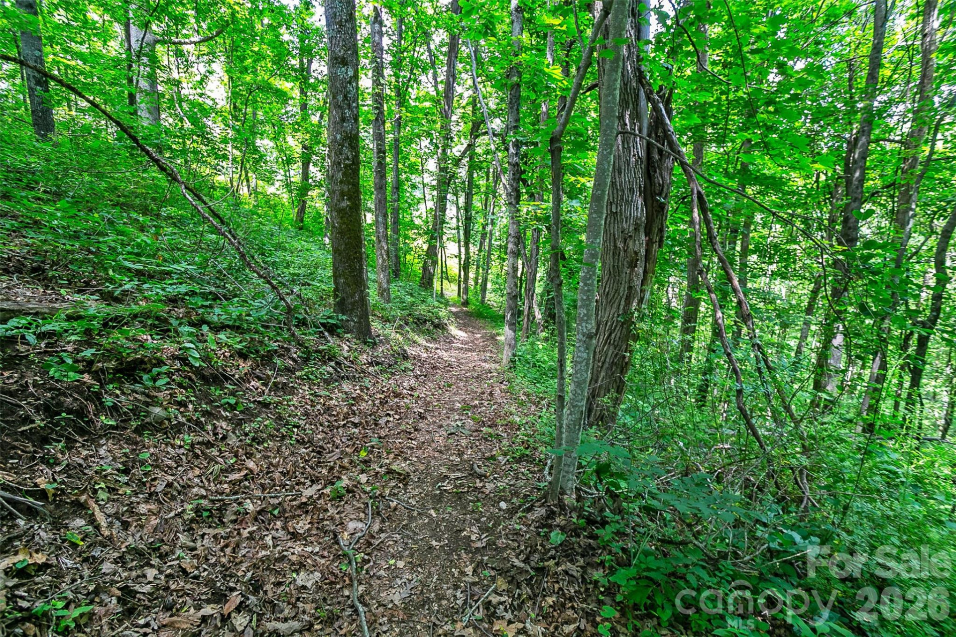 Lot 50 Mountain Grove Lane #50 - Photo 32