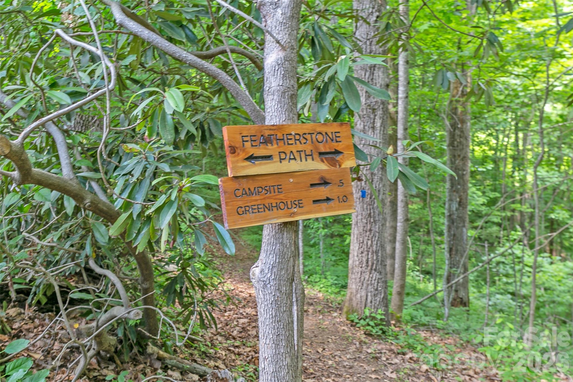 Lot 50 Mountain Grove Lane #50 - Photo 34