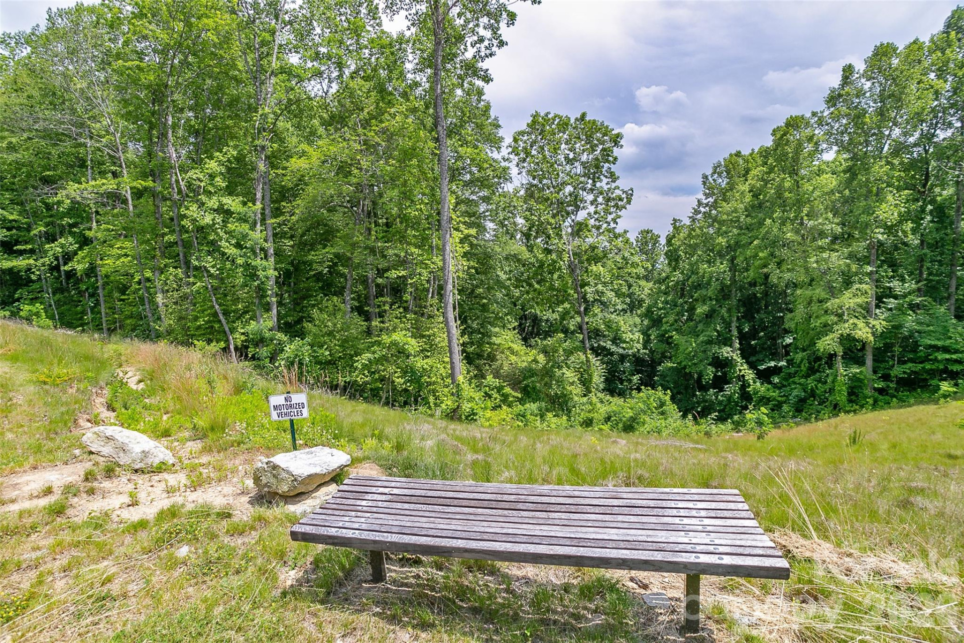 Lot 50 Mountain Grove Lane #50 - Photo 35