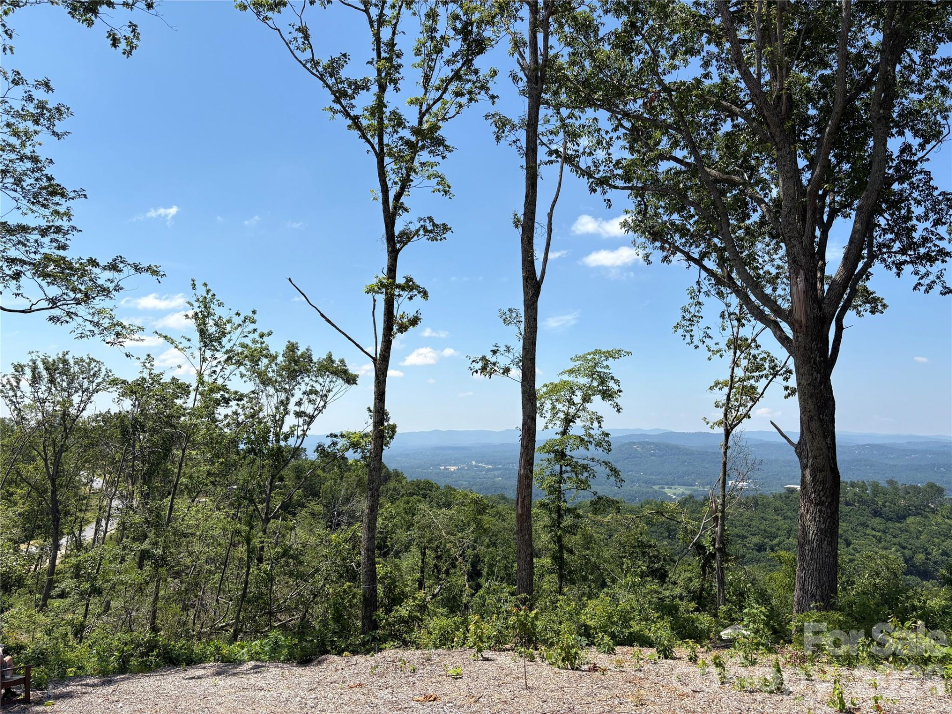 Lot 50 Mountain Grove Lane #50 - Photo 6