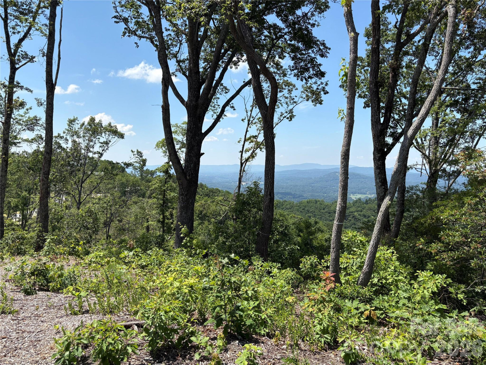 Lot 50 Mountain Grove Lane #50 - Photo 7