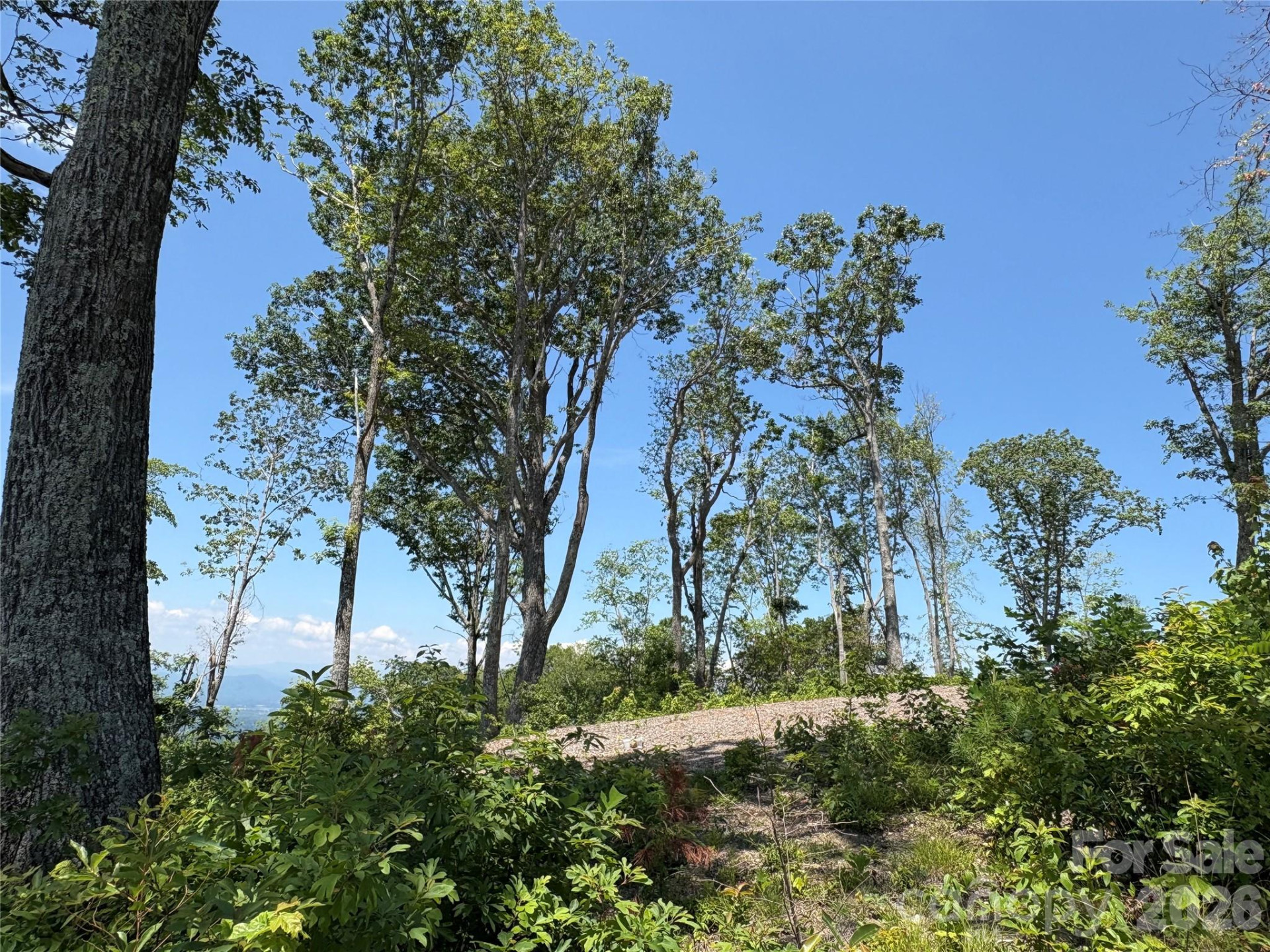 Lot 50 Mountain Grove Lane #50 - Photo 10