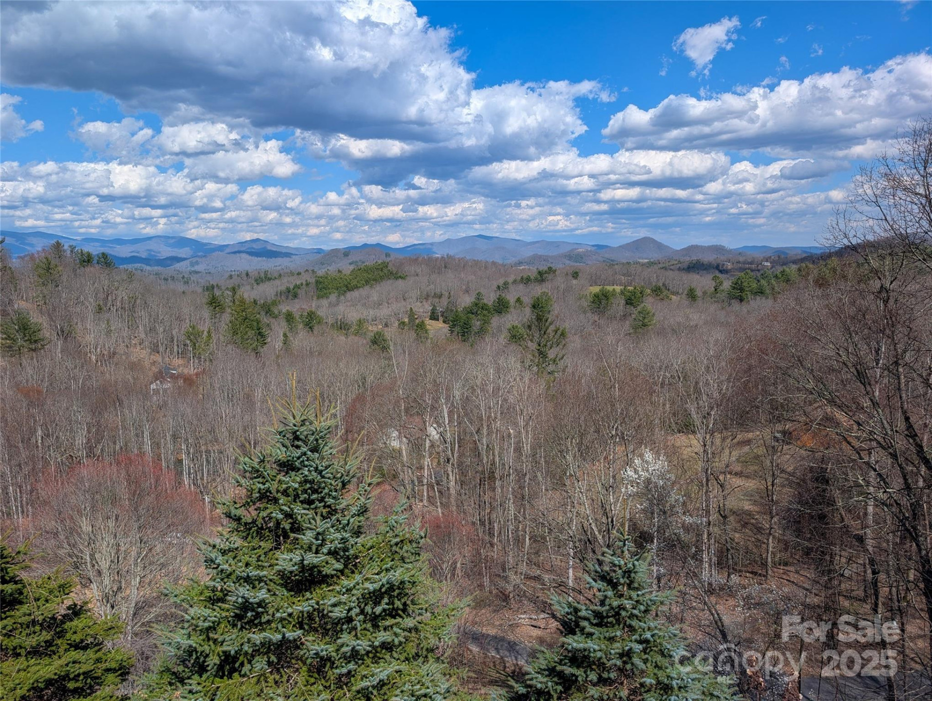 210 Miners Ridge Drive - Photo 40