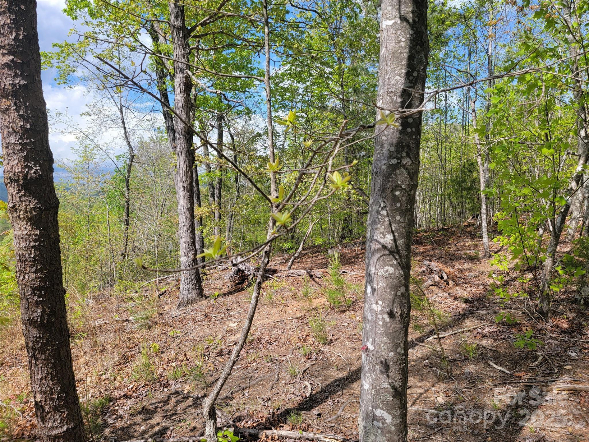 0 Shire Lane - Photo 2