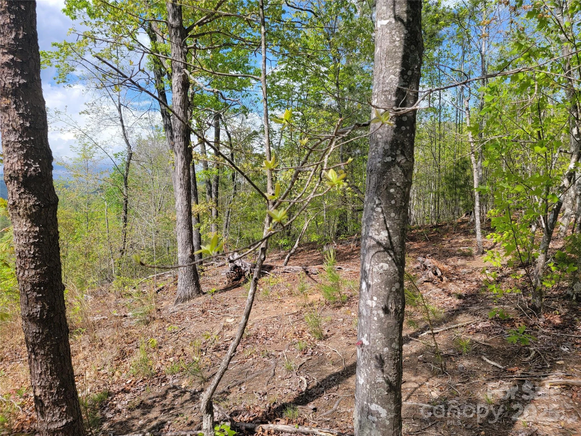 0 Shire Lane - Photo 2