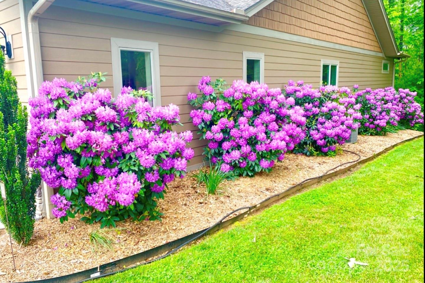 178 Sapphire Place - Photo 4