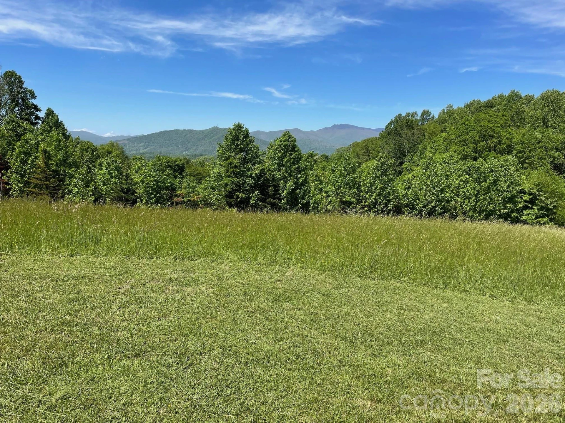 999 Chestnut Mountain Drive - Photo 2