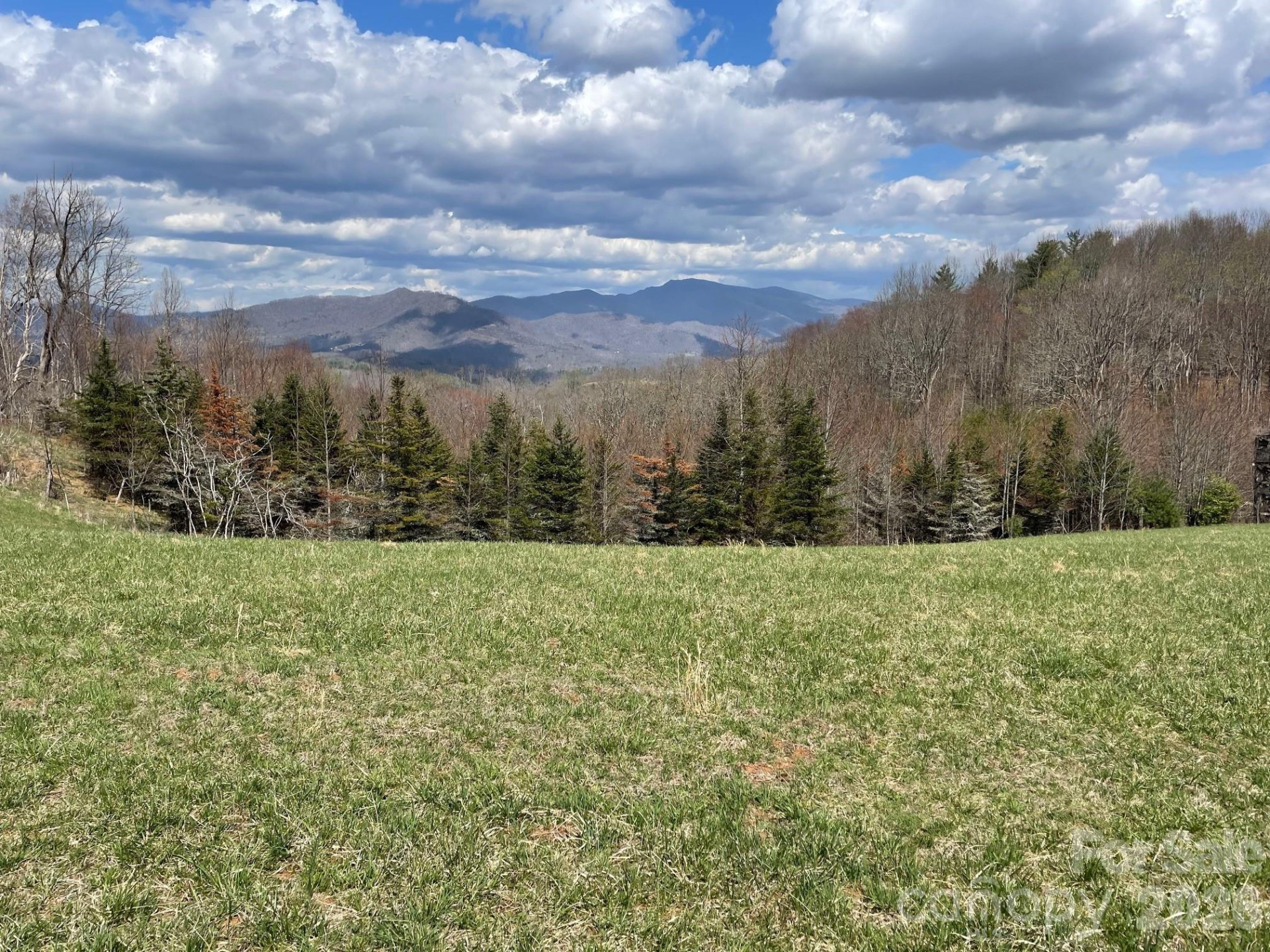 999 Chestnut Mountain Drive - Photo 11