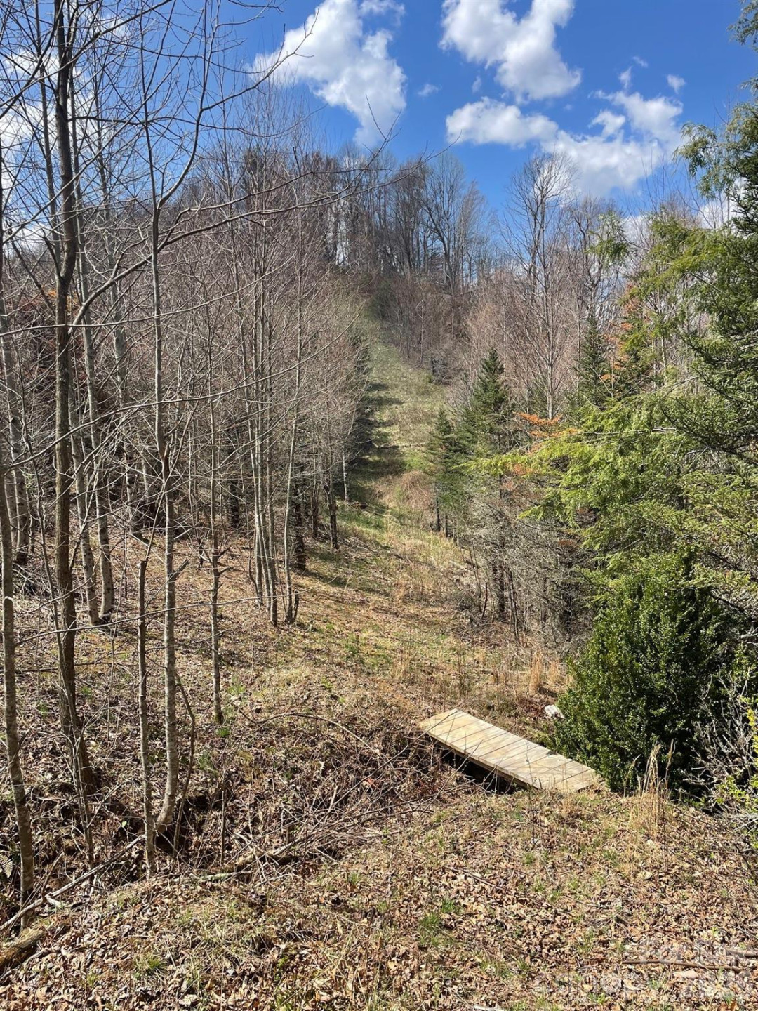 999 Chestnut Mountain Drive - Photo 12