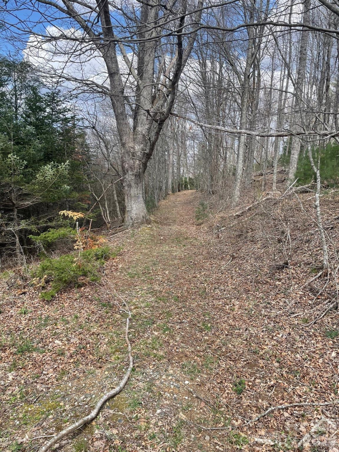 999 Chestnut Mountain Drive - Photo 13