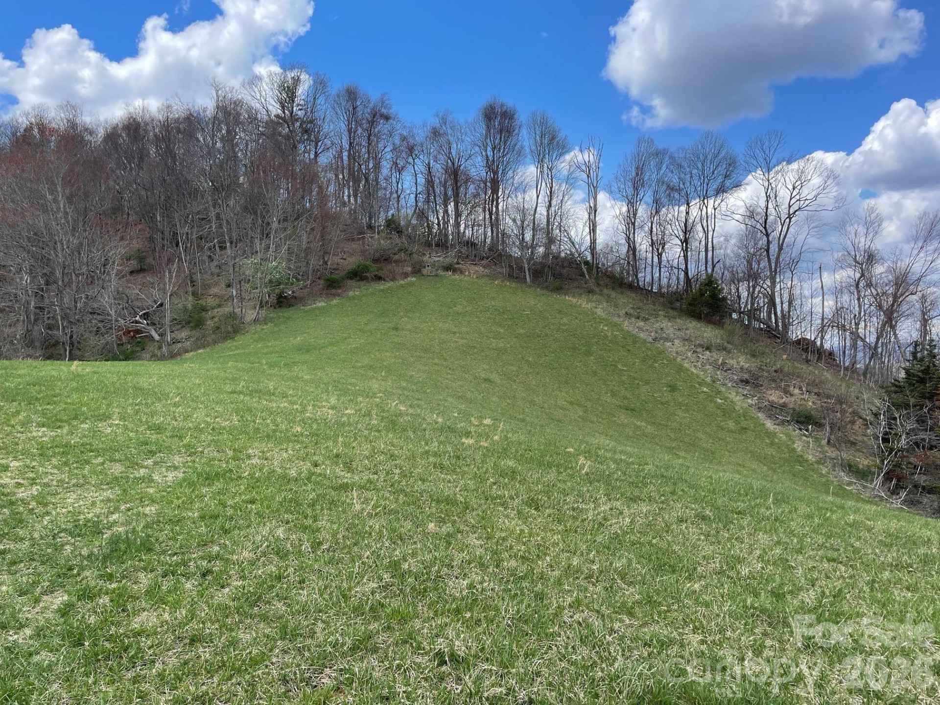 999 Chestnut Mountain Drive - Photo 18