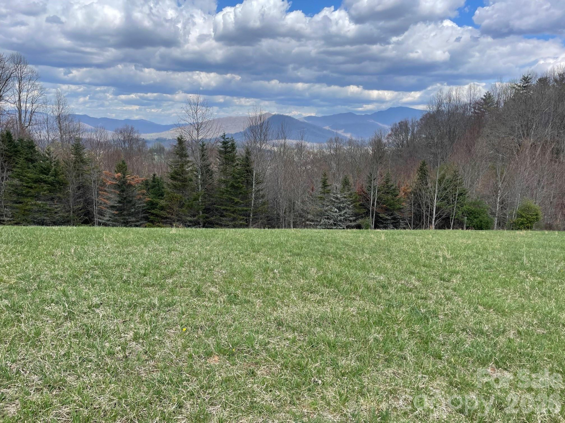 999 Chestnut Mountain Drive - Photo 19