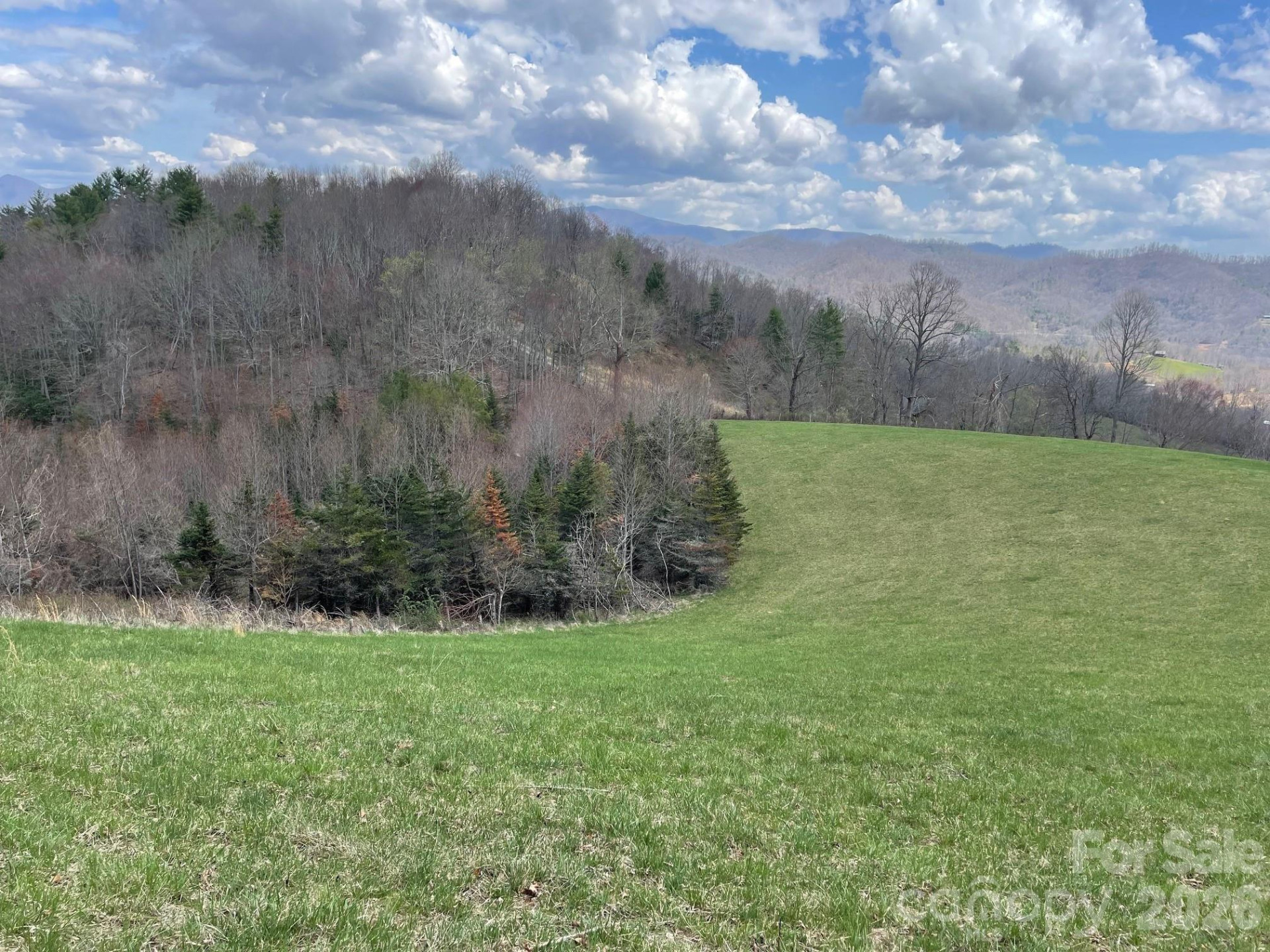 999 Chestnut Mountain Drive - Photo 22