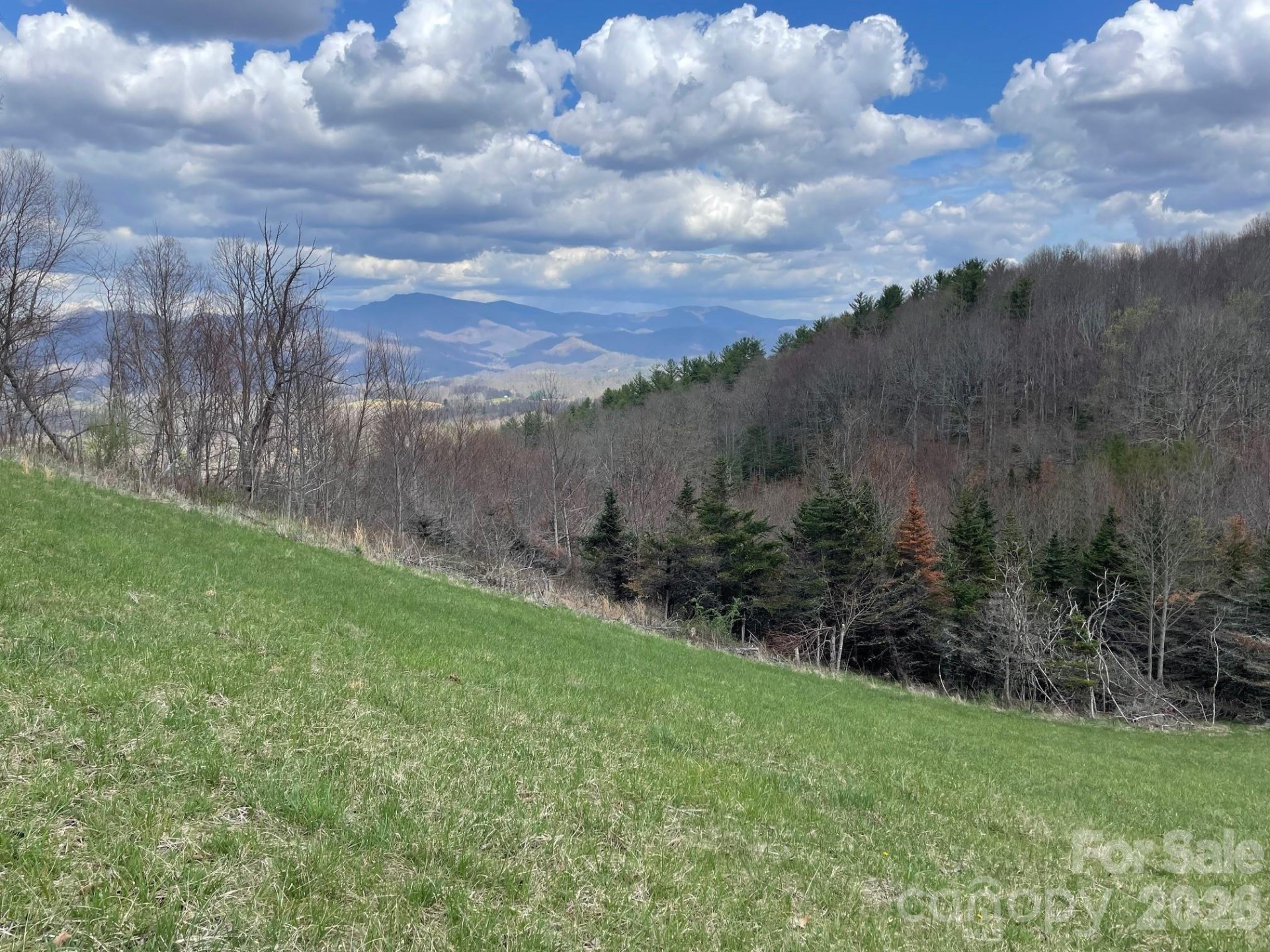 999 Chestnut Mountain Drive - Photo 24