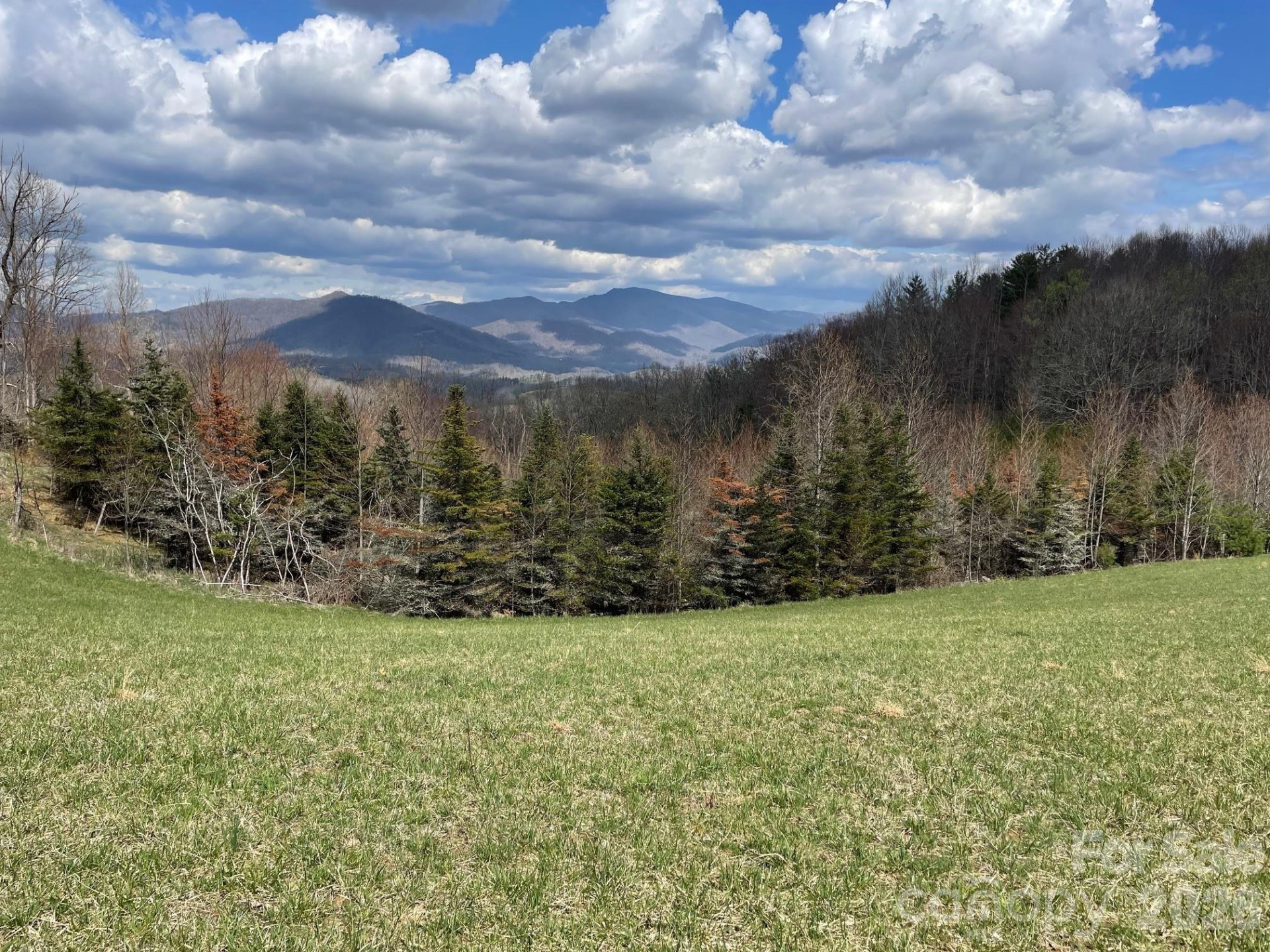 999 Chestnut Mountain Drive - Photo 25