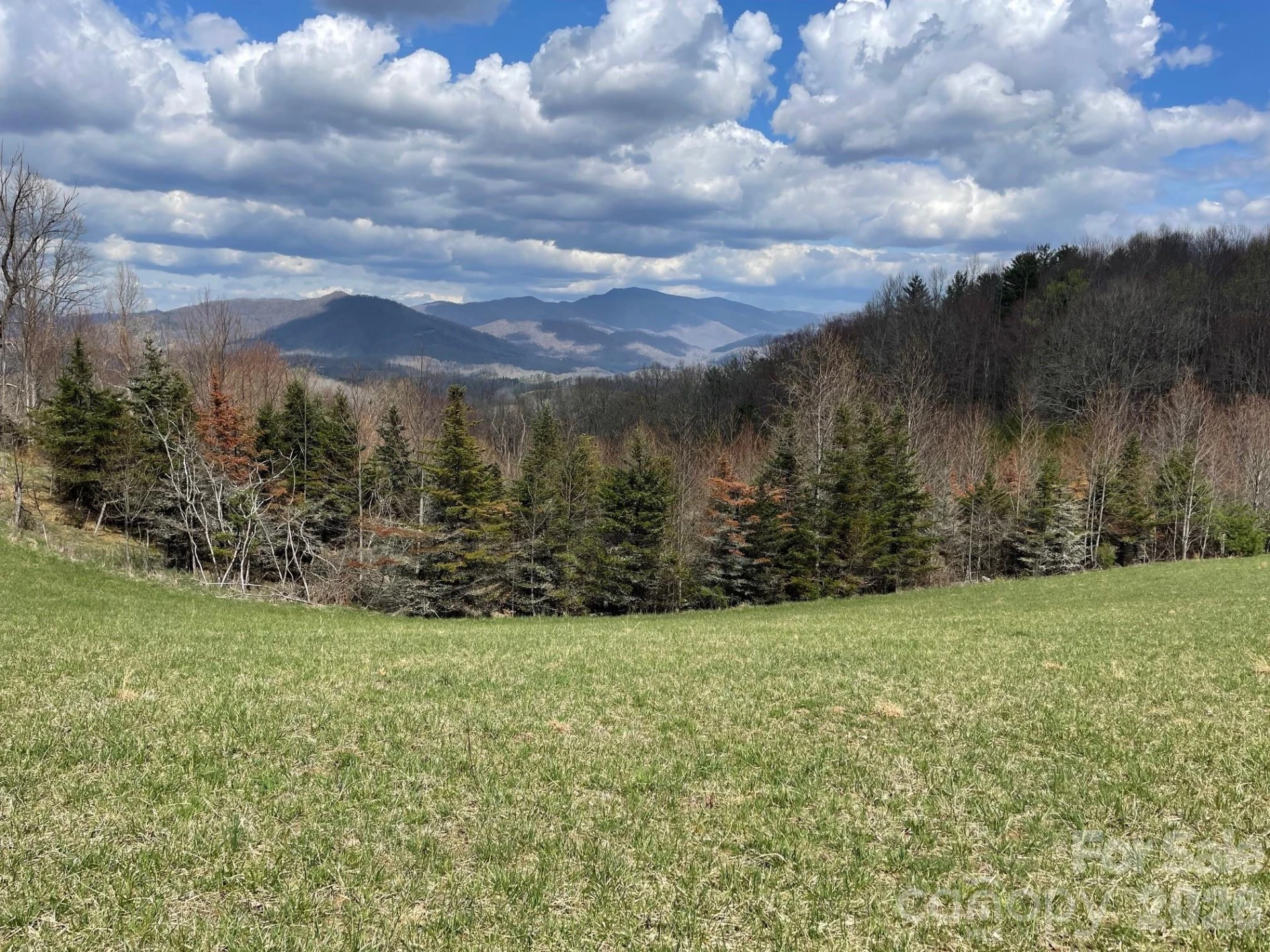 999 Chestnut Mountain Drive - Photo 25