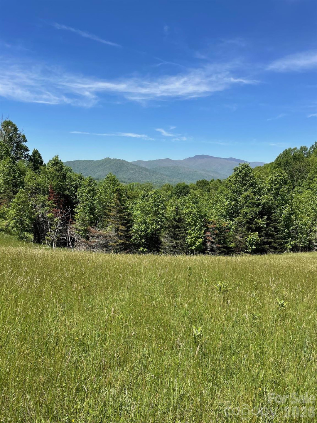 999 Chestnut Mountain Drive - Photo 27