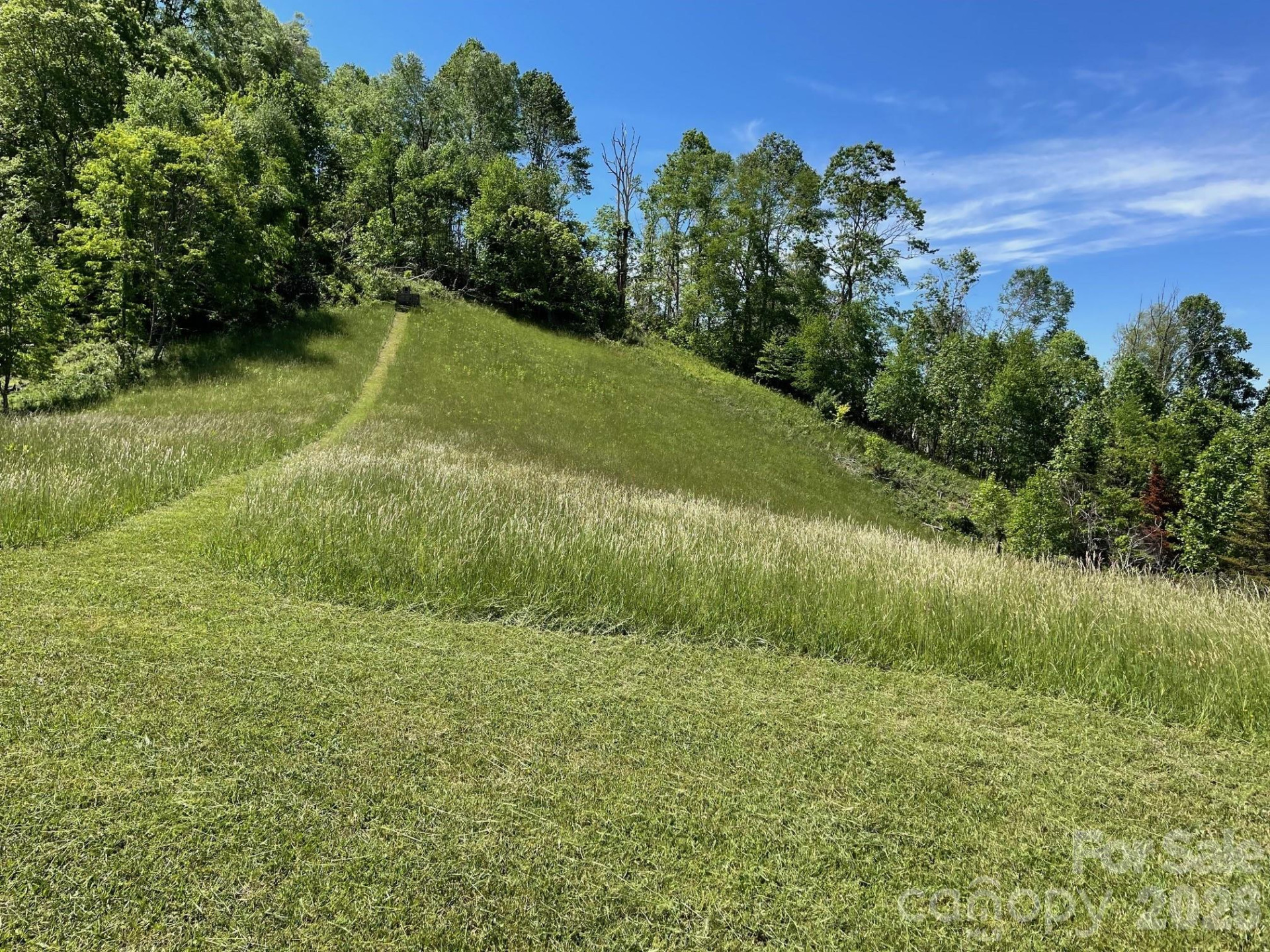 999 Chestnut Mountain Drive - Photo 4