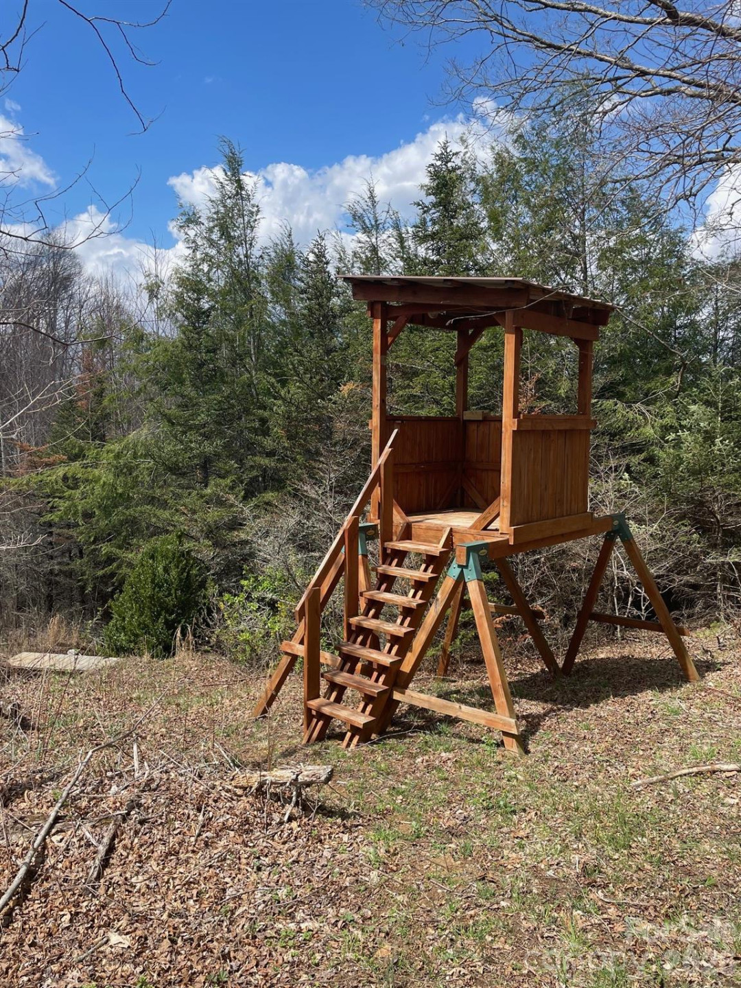 999 Chestnut Mountain Drive - Photo 8