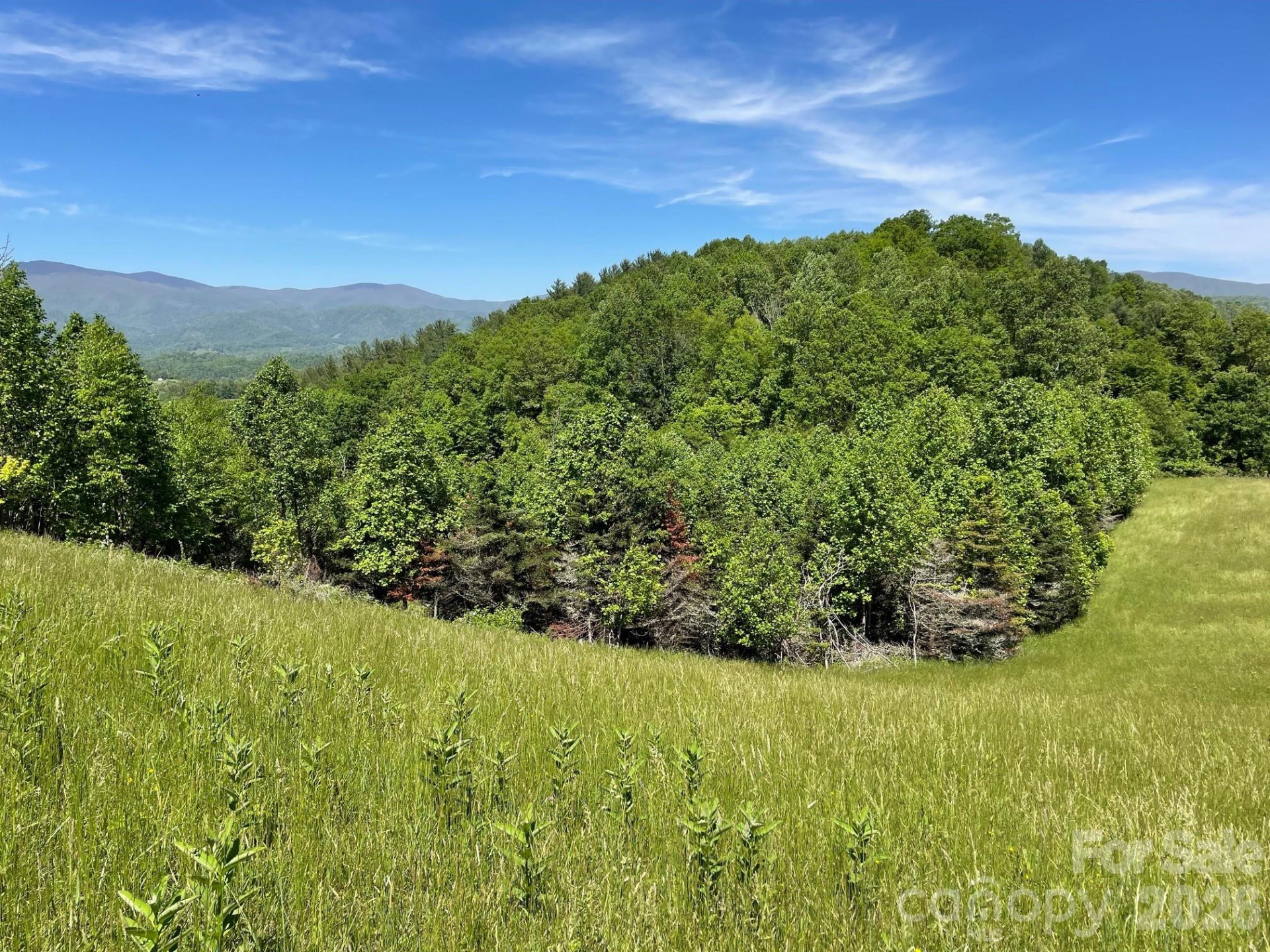 999 Chestnut Mountain Drive - Photo 10