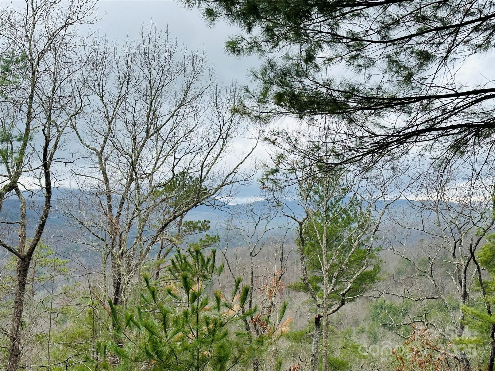 109 Longview Court #6 - Photo 2