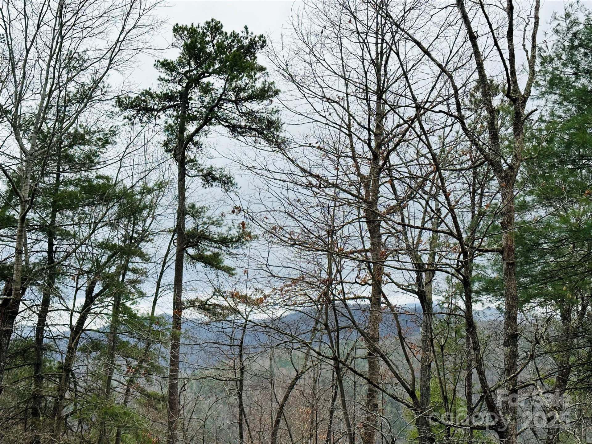 109 Longview Court #6 - Photo 3