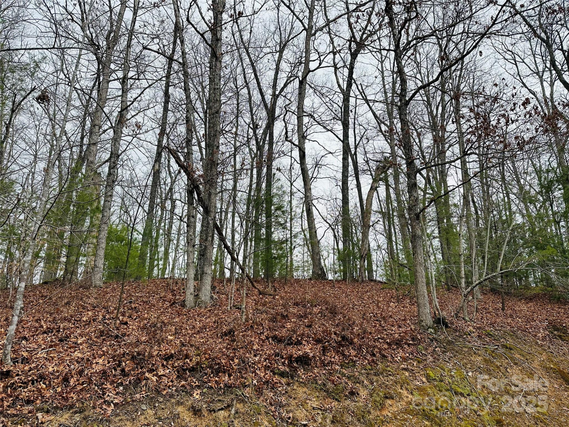 109 Longview Court #6 - Photo 29