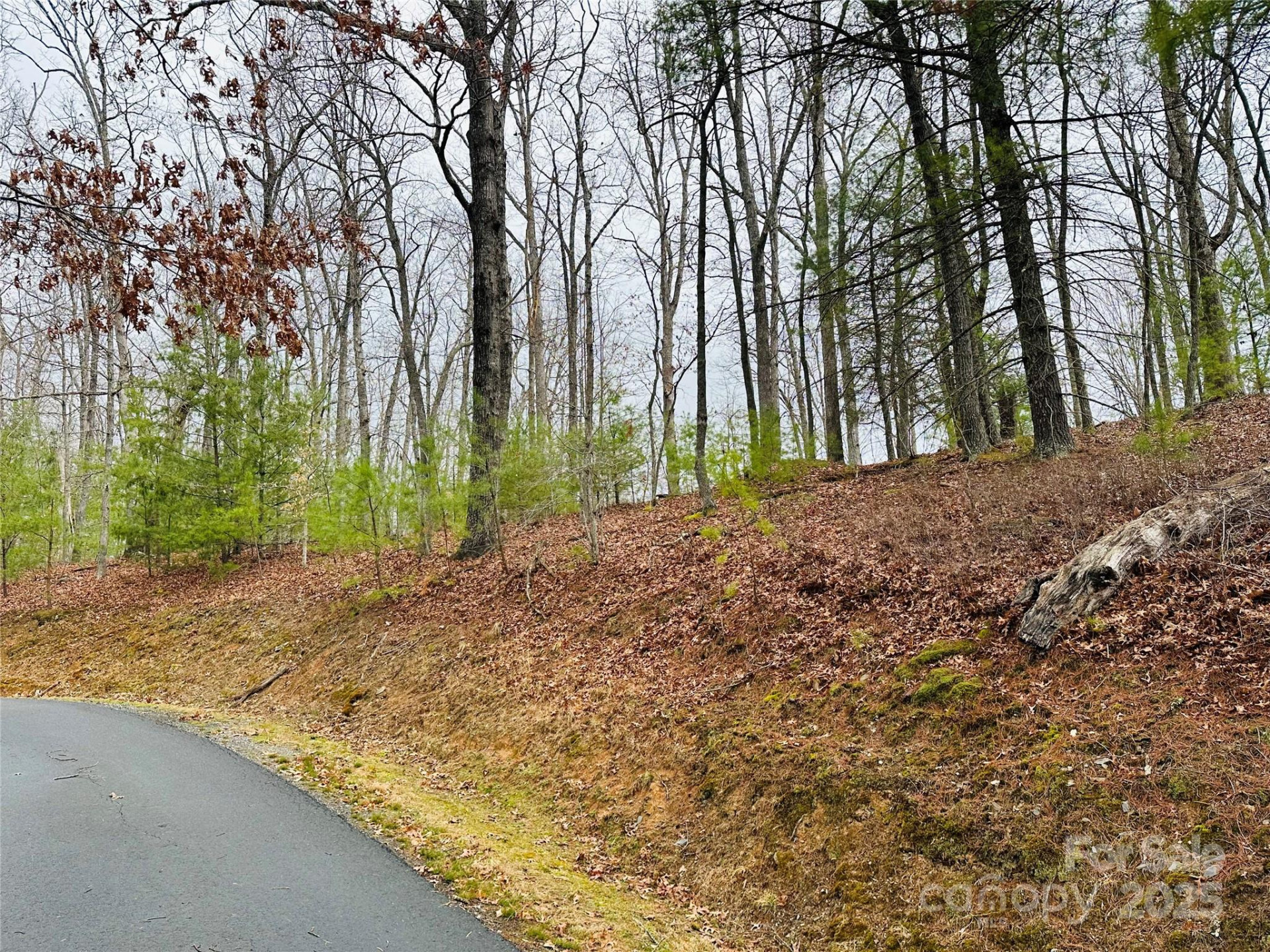 109 Longview Court #6 - Photo 4