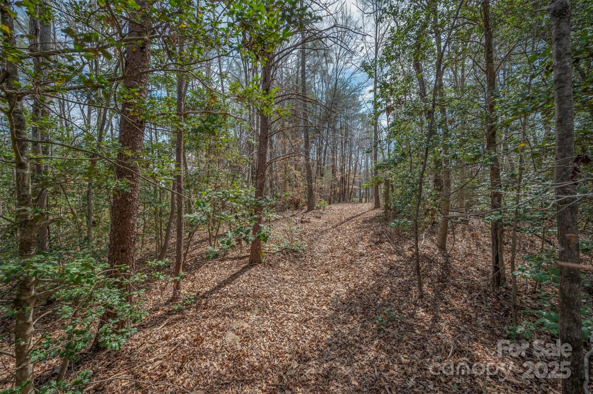 582 County Line Road - Photo 21