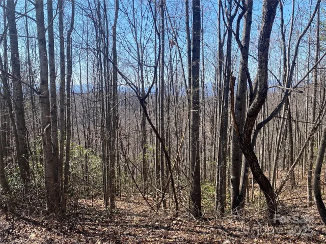 Lot 72 Mountain Crest Drive