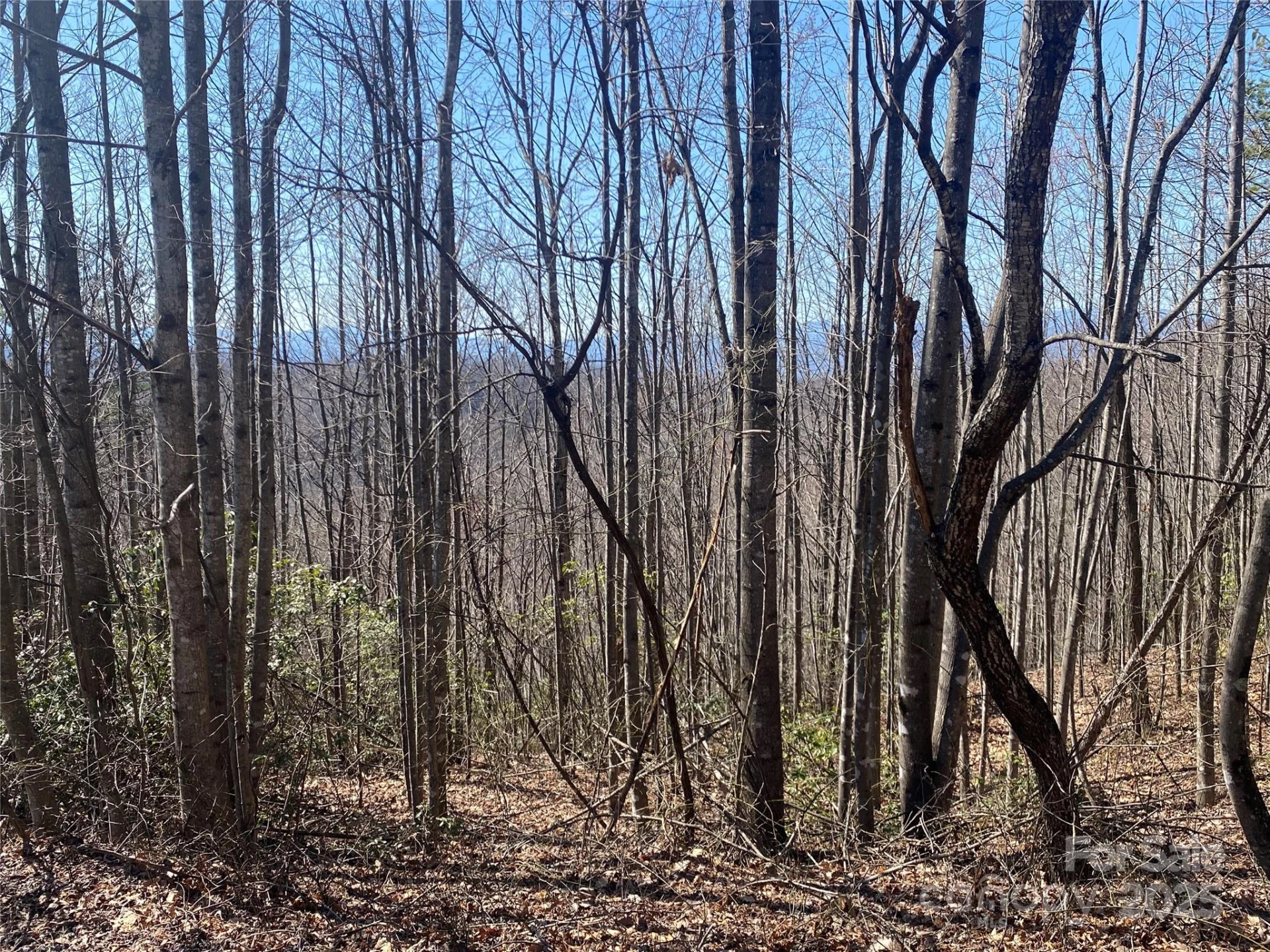 Lot 72 Mountain Crest Drive
