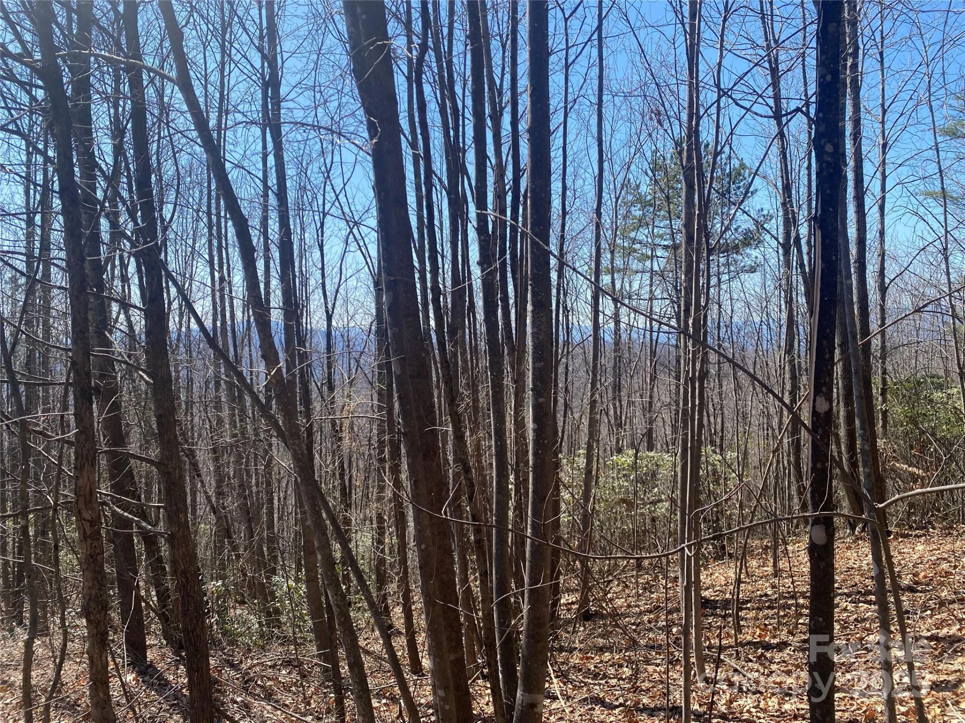 Lot 72 Mountain Crest Drive - Photo 2