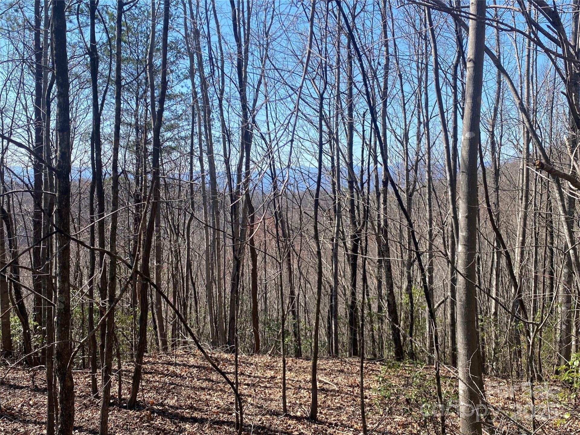 Lot 72 Mountain Crest Drive - Photo 3