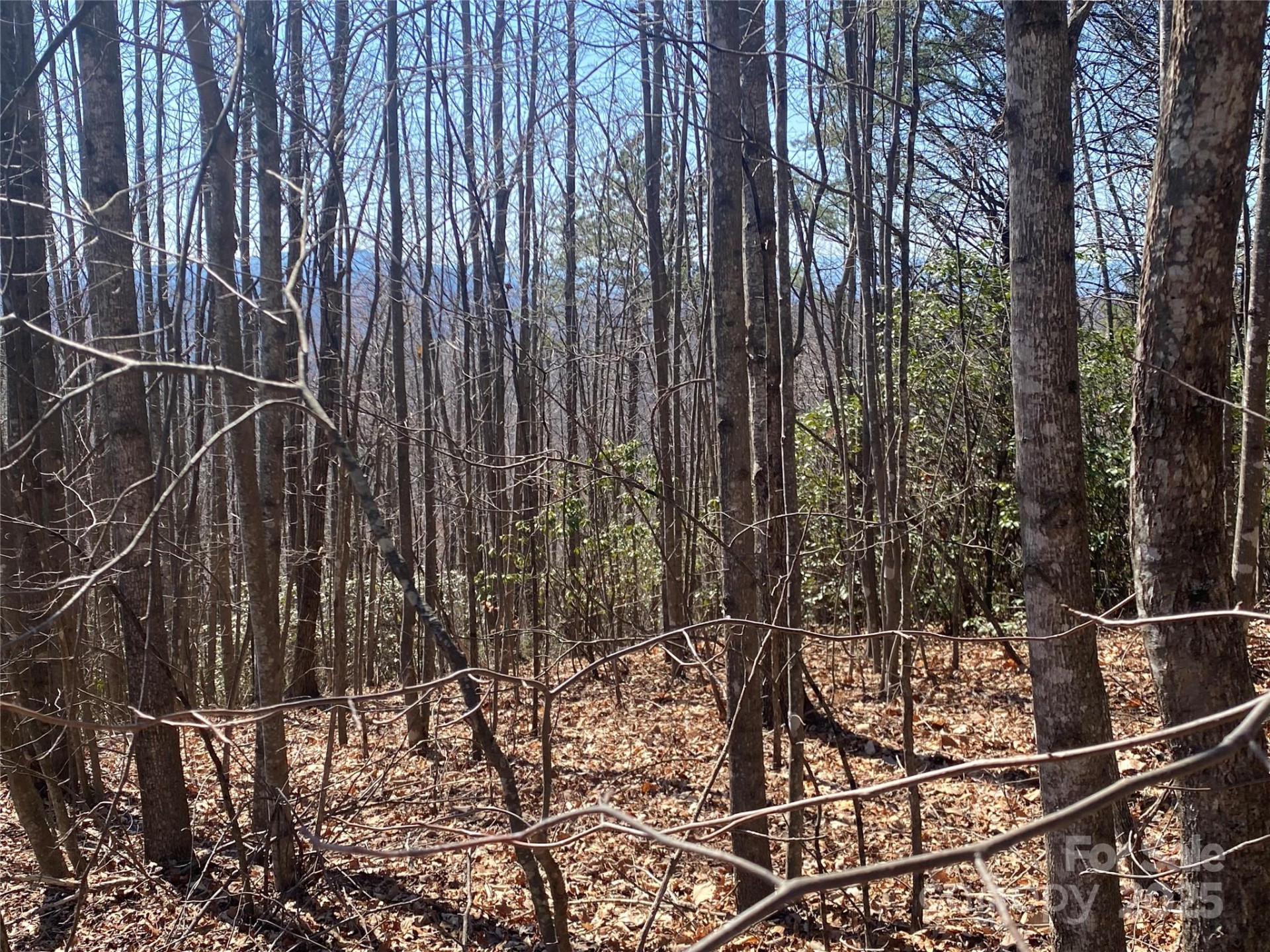 Lot 72 Mountain Crest Drive - Photo 4