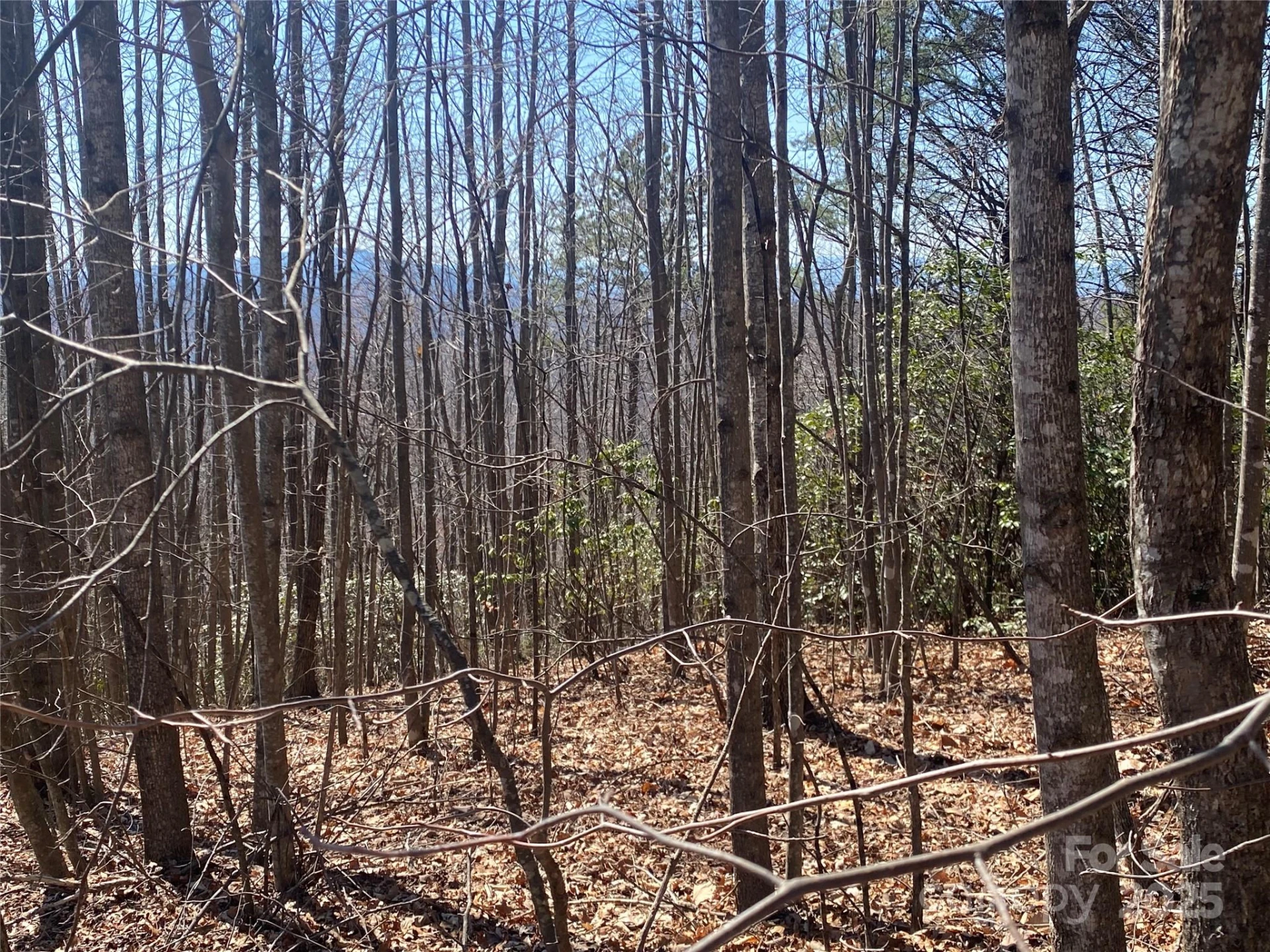 Lot 72 Mountain Crest Drive - Photo 4