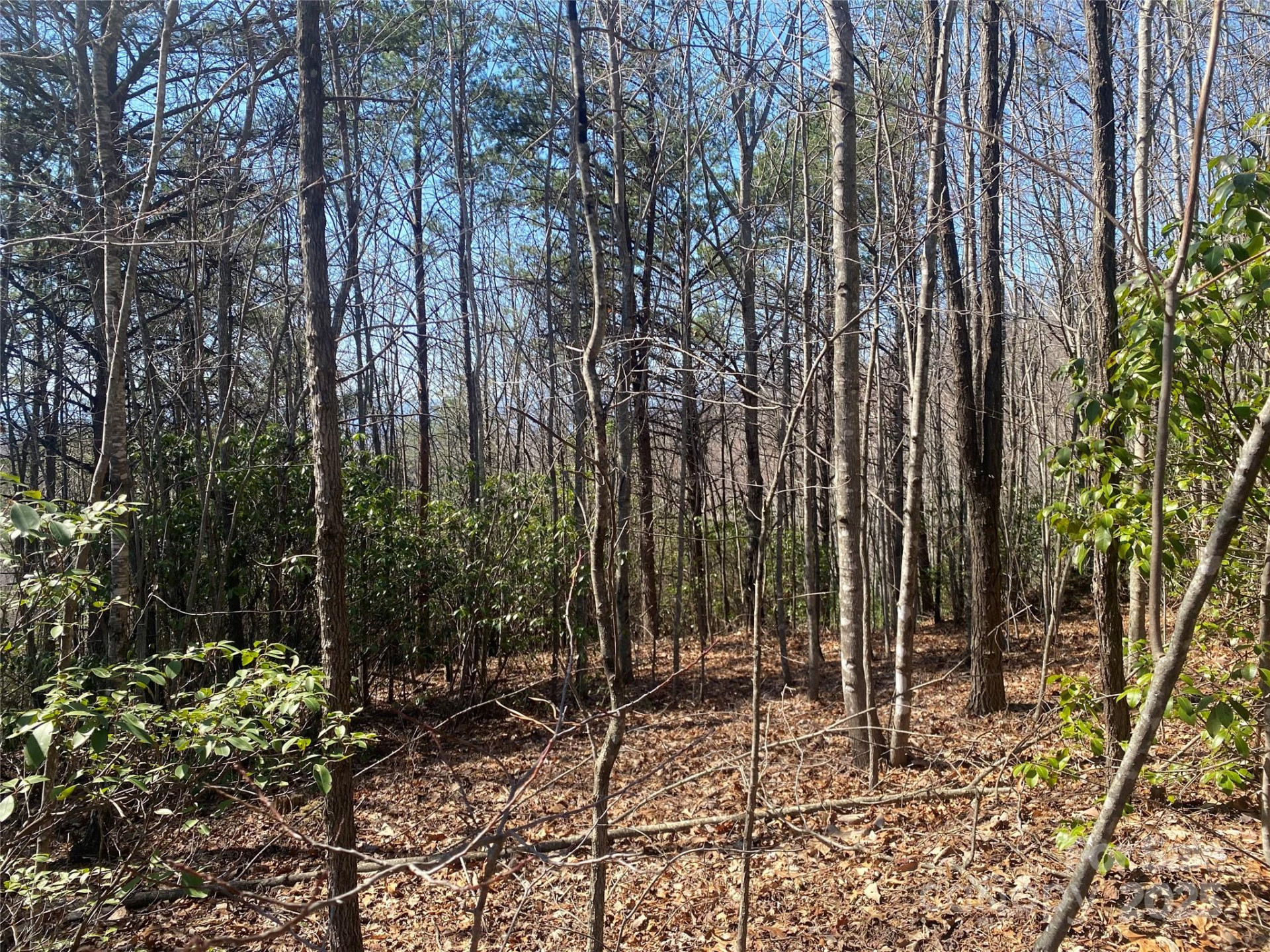 Lot 72 Mountain Crest Drive - Photo 5