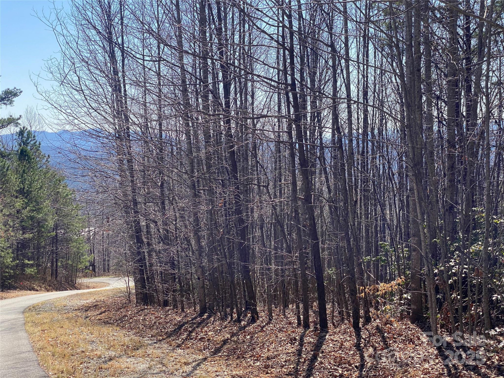 Lot 72 Mountain Crest Drive - Photo 6